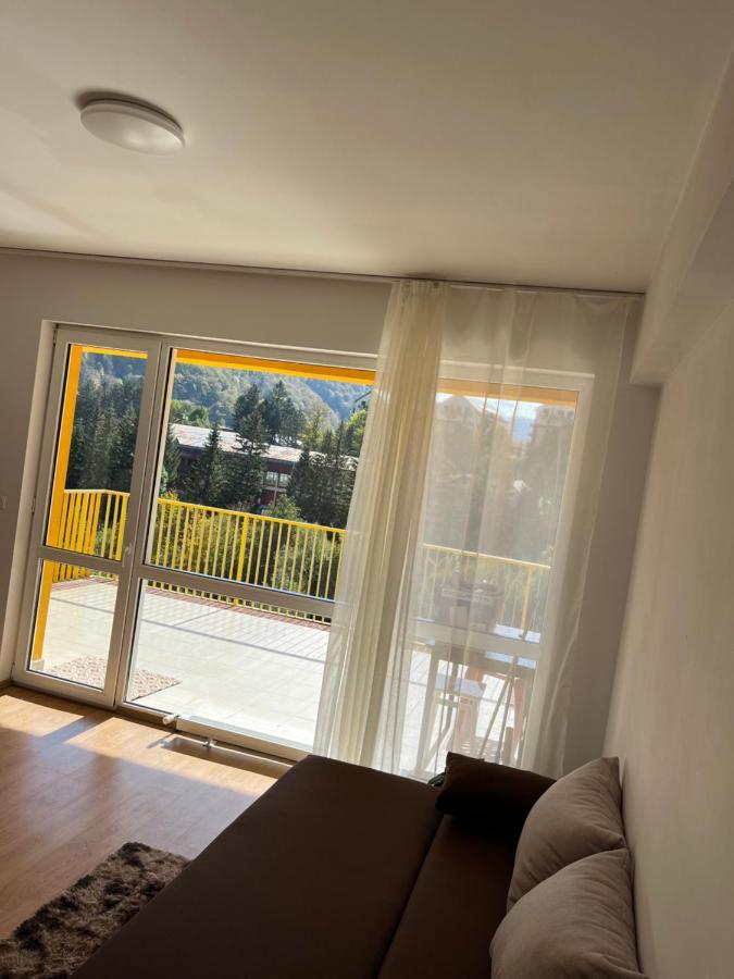 Anissia Apartament Apartment ซินายา ภายนอก รูปภาพ