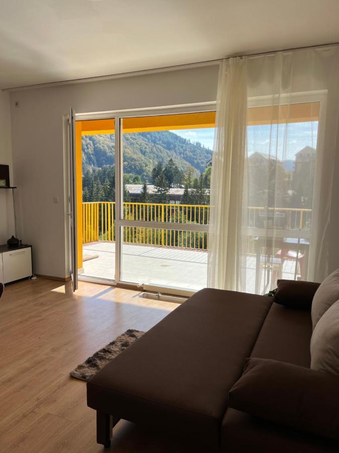 Anissia Apartament Apartment ซินายา ภายนอก รูปภาพ