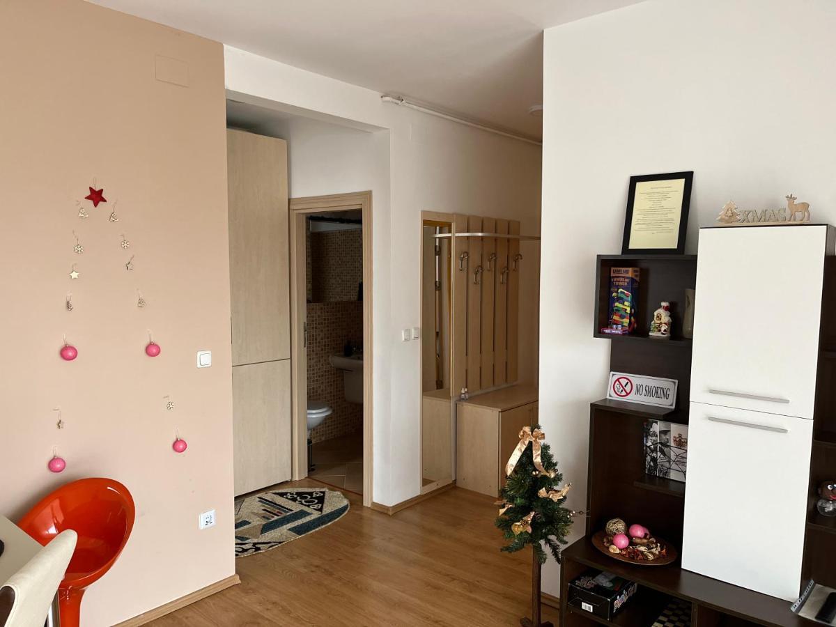 Anissia Apartament Apartment ซินายา ภายนอก รูปภาพ